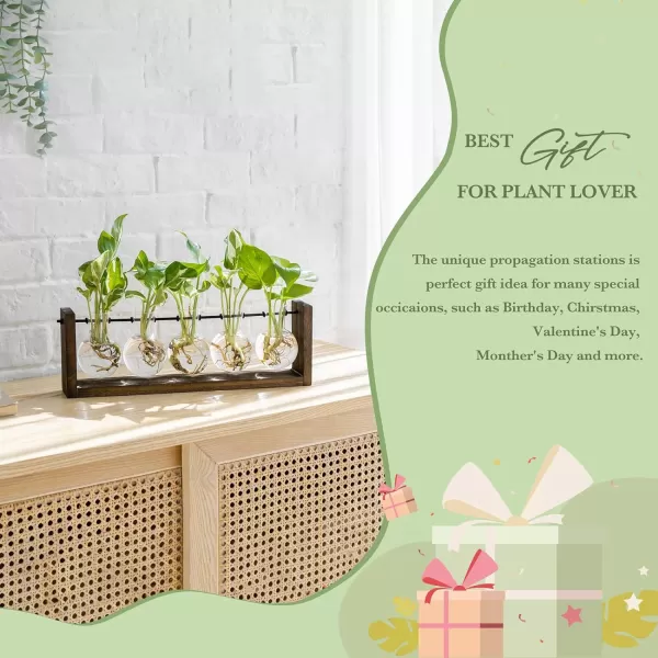 Mkono Plant Propagation Station with Wooden Stand Wall Hanging Glass Planter Tabletop Terrarium Bulb Vase for Hydroponics Plants Home Office DecorBrown