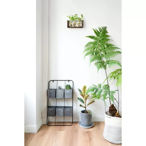 Mkono Plant Propagation Station with Wooden Stand Wall Hanging Glass Planter Tabletop Terrarium Bulb Vase for Hydroponics Plants Home Office DecorBrown