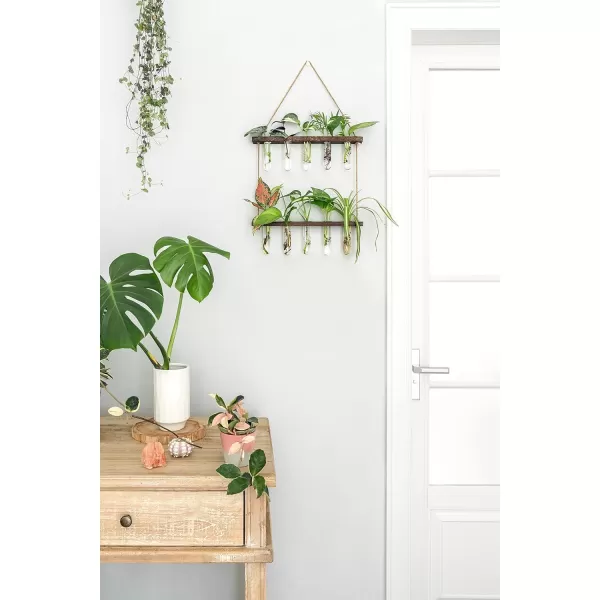 Mkono Plant Propagation Tubes 2 Tiered Wall Hanging Plant Terrarium with Wooden Stand Vase Glass Planter Stations for Hydroponic Flower Cutting Home Garden Office Decor Plant Lover Gift