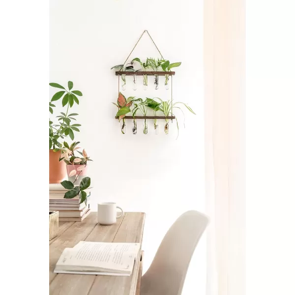 Mkono Plant Propagation Tubes 2 Tiered Wall Hanging Plant Terrarium with Wooden Stand Vase Glass Planter Stations for Hydroponic Flower Cutting Home Garden Office Decor Plant Lover Gift