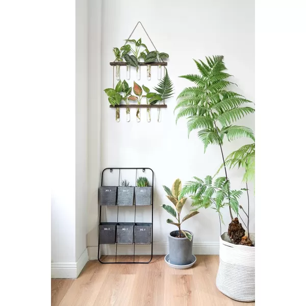Mkono Plant Propagation Tubes 2 Tiered Wall Hanging Plant Terrarium with Wooden Stand Vase Glass Planter Stations for Hydroponic Flower Cutting Home Garden Office Decor Plant Lover Gift