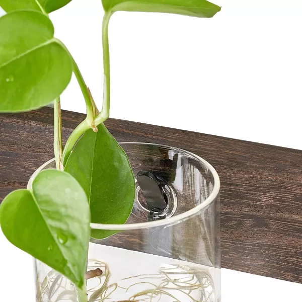 Mkono Propagation Station Wall Planter Glass Cylinder Vase Hanging Terrarium for Hydroponics Plant Cutting Indoor Outdoor Decor Brown Plant Lover Gift