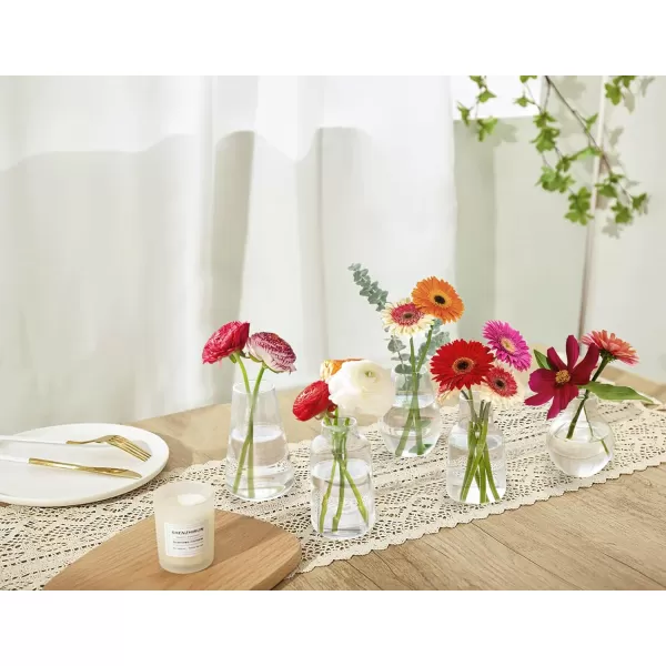 Mkono Propagation Vases for Plants Set of 5 Small Glass Jar Planters for Hydroponic Cutting Flowers Plant Station Bud Vases for Centerpieces Home Office Decor Gift