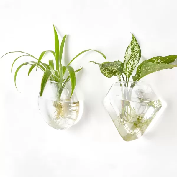 Mkono Wall Planter Propagation Stations Hanging Glass Terrariums Vase Container for Propagating Hydroponic Plants Flowers Home Office Living Room Bathroom Garden Decor 3 Pack