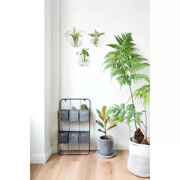 Mkono Wall Planter Propagation Stations Hanging Glass Terrariums Vase Container for Propagating Hydroponic Plants Flowers Home Office Living Room Bathroom Garden Decor 3 Pack