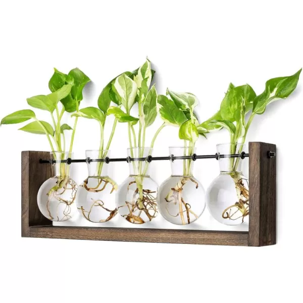 Mkono Plant Propagation Station with Wooden Stand Wall Hanging Glass Planter Tabletop Terrarium Bulb Vase for Hydroponics Plants Home Office DecorBrown
