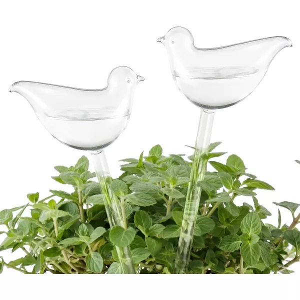 Mkono Plant Self Watering Globes Glass Water Bulbs for Planter Insert Bird Shape Self Watering Devices Automatic Plant Waterer Spikes for Indoor Outdoor Plants Gifts for Plant Lovers 1 PackClear