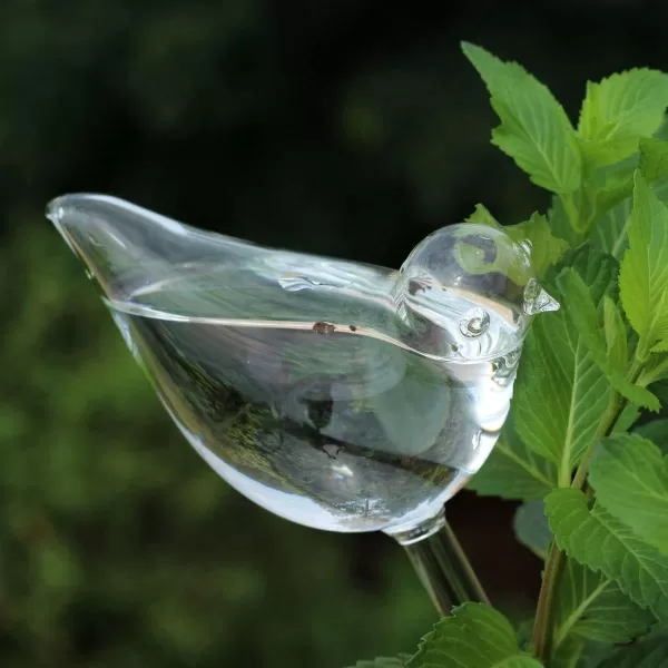 Mkono Plant Self Watering Globes Glass Water Bulbs for Planter Insert Bird Shape Self Watering Devices Automatic Plant Waterer Spikes for Indoor Outdoor Plants Gifts for Plant Lovers 1 PackClear