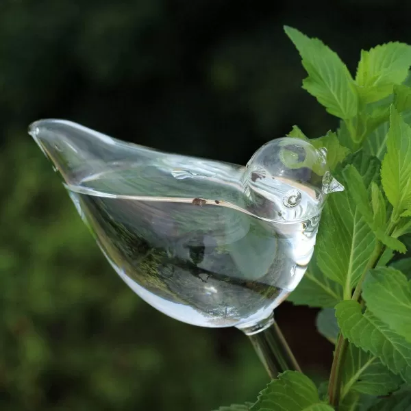 Mkono Plant Self Watering Globes Glass Water Bulbs for Planter Insert Bird Shape Self Watering Devices Automatic Plant Waterer Spikes for Indoor Outdoor Plants Gifts for Plant Lovers 1 PackClear