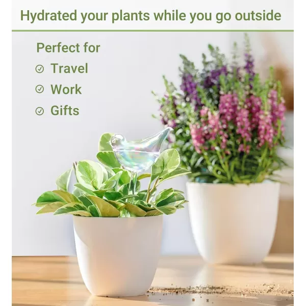 Mkono Plant Self Watering Globes Glass Water Bulbs for Planter Insert Bird Shape Self Watering Devices Automatic Plant Waterer Spikes for Indoor Outdoor Plants Gifts for Plant Lovers 1 PackMulti