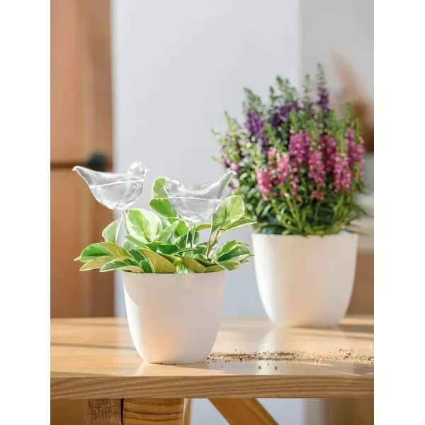 Mkono Plant Self Watering Globes Glass Water Bulbs for Planter Insert Bird Shape Self Watering Devices Automatic Plant Waterer Spikes for Indoor Outdoor Plants Gifts for Plant Lovers 1 PackClear