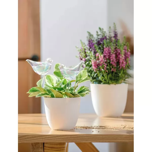 Mkono Plant Self Watering Globes Glass Water Bulbs for Planter Insert Bird Shape Self Watering Devices Automatic Plant Waterer Spikes for Indoor Outdoor Plants Gifts for Plant Lovers 1 PackMulti