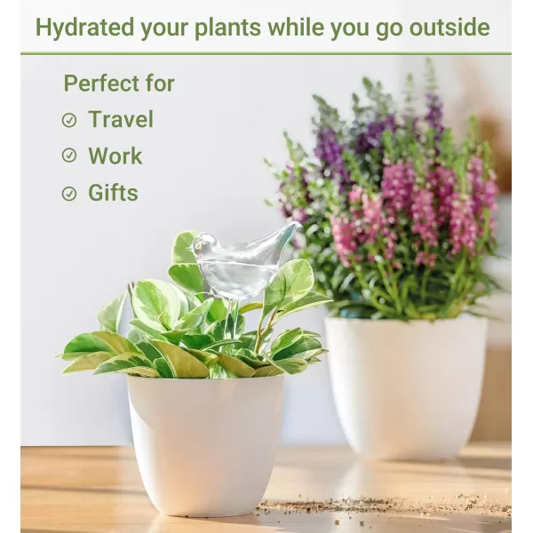 Mkono Plant Self Watering Globes Glass Water Bulbs for Planter Insert Bird Shape Self Watering Devices Automatic Plant Waterer Spikes for Indoor Outdoor Plants Gifts for Plant Lovers 1 PackClear