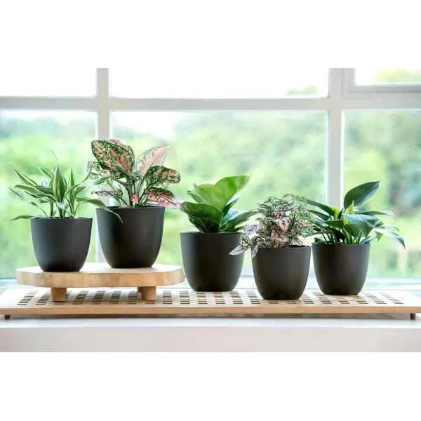 imageMkono 65quot Plastic Planters with Saucers Indoor Set of 5 Flower Plant Pots with Drainage for All House Plants Herbs Foliage Plant and Seeding Nursery Cream WhiteBlack