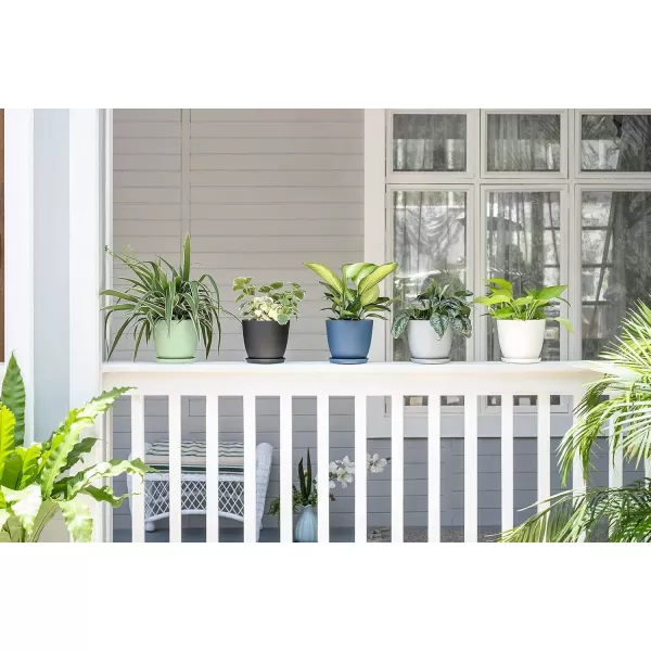 imageMkono 65quot Plastic Planters with Saucers Indoor Set of 5 Flower Plant Pots with Drainage for All House Plants Herbs Foliage Plant and Seeding Nursery Cream WhiteMulticolor