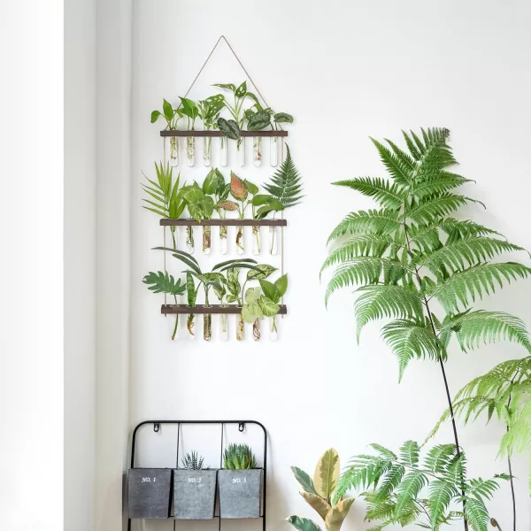 imageMkono Plant Propagation Tubes 3 Tiered Wall Hanging Terrarium with Wooden Stand Mini Test Tube Flower Vase Glass Planter Stations for Hydroponic Cutting Home Garden Office Decor Plant Lover GiftBrown