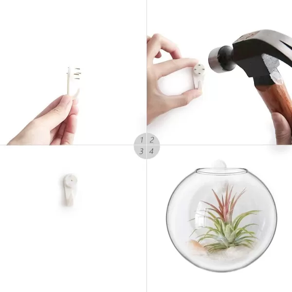 imageMkono Propagation Wall Hanging Planter Glass Terrarium Flower Vases Holder for Indoor Plants Home Living Room Office Decor Plant Lover Gifts Set of 4