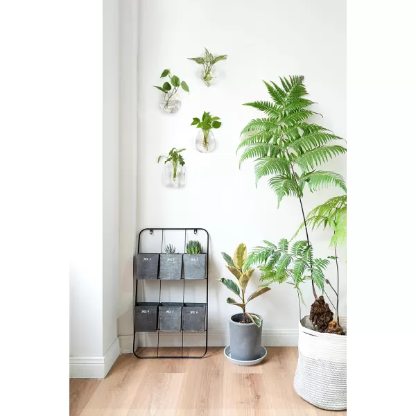 imageMkono Propagation Wall Hanging Planter Glass Terrarium Flower Vases Holder for Indoor Plants Home Living Room Office Decor Plant Lover Gifts Set of 4