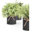 imageMkono Fake Plants in Farmhouse Galvanized Metal Pots Table Centerpiece Rustic Home Decor 3 Pack Potted Artificial Plants Faux Eucalyptus for Shelf Indoor Dining Room OfficeBlack
