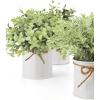imageMkono Fake Plants in Farmhouse Galvanized Metal Pots Table Centerpiece Rustic Home Decor 3 Pack Potted Artificial Plants Faux Eucalyptus for Shelf Indoor Dining Room OfficeWhite