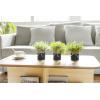imageMkono Fake Plants in Farmhouse Galvanized Metal Pots Table Centerpiece Rustic Home Decor 3 Pack Potted Artificial Plants Faux Eucalyptus for Shelf Indoor Dining Room OfficeBlack