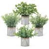 imageMkono 4 Packs Small Fake Plants in Farmhouse Galvanized Pots Table Centerpiece Mini Potted Artificial Plants Faux Eucalyptus for Shelf Office Rustic Home Decor WhiteGrey