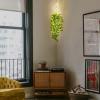 imageMkono Fake Hanging Plant with Lights Artificial Plants for Home Decor Indoor Macrame Plant Hanger with Fake Vines Greenery for Bedroom Bathroom Kitchen Office Decor