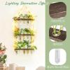 imageMkono Plant Propagation Stations with Light 3 Tiered Wooden Wall Hanging Terrarium Test Tube Flower Vase Glass Planter Holder for Hydroponic Cutting Home Garden Office Decor Plant Lover Gift