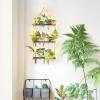 imageMkono Plant Propagation Stations with Light 3 Tiered Wooden Wall Hanging Terrarium Test Tube Flower Vase Glass Planter Holder for Hydroponic Cutting Home Garden Office Decor Plant Lover Gift