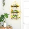 imageMkono Plant Propagation Stations with Light 3 Tiered Wooden Wall Hanging Terrarium Test Tube Flower Vase Glass Planter Holder for Hydroponic Cutting Home Garden Office Decor Plant Lover Gift