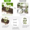 imageMkono Plant Propagation Tubes 3 Tiered Wall Hanging Terrarium with Wooden Stand Flower Vase Test Tube Glass Planter Stations for Hydroponic Cutting Home Garden Office Decor Brown SmallBrown