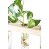 imageMkono Plant Propagation Tubes 3 Tiered Wall Hanging Terrarium with Wooden Stand Flower Vase Test Tube Glass Planter Stations for Hydroponic Cutting Home Garden Office Decor Brown SmallBeige