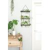 imageMkono Plant Propagation Tubes 3 Tiered Wall Hanging Terrarium with Wooden Stand Flower Vase Test Tube Glass Planter Stations for Hydroponic Cutting Home Garden Office Decor Brown SmallBlack