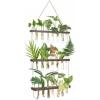 imageMkono Plant Propagation Tubes 3 Tiered Wall Hanging Terrarium with Wooden Stand Flower Vase Test Tube Glass Planter Stations for Hydroponic Cutting Home Garden Office Decor Brown SmallBrown