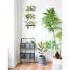 imageMkono Plant Propagation Tubes 3 Tiered Wall Hanging Terrarium with Wooden Stand Flower Vase Test Tube Glass Planter Stations for Hydroponic Cutting Home Garden Office Decor Brown SmallBrown