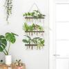 imageMkono Plant Propagation Tubes 3 Tiered Wall Hanging Terrarium with Wooden Stand Flower Vase Test Tube Glass Planter Stations for Hydroponic Cutting Home Garden Office Decor Brown SmallBrown