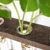 imageMkono Plant Propagation Tubes 3 Tiered Wall Hanging Terrarium with Wooden Stand Flower Vase Test Tube Glass Planter Stations for Hydroponic Cutting Home Garden Office Decor Brown SmallBrown