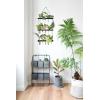 imageMkono Plant Propagation Tubes 3 Tiered Wall Hanging Terrarium with Wooden Stand Flower Vase Test Tube Glass Planter Stations for Hydroponic Cutting Home Garden Office Decor Brown SmallBlack