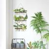 imageMkono Plant Propagation Tubes 3 Tiered Wall Hanging Terrarium with Wooden Stand Flower Vase Test Tube Glass Planter Stations for Hydroponic Cutting Home Garden Office Decor Brown SmallBrown