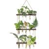 imageMkono Plant Propagation Tubes 3 Tiered Wall Hanging Terrarium with Wooden Stand Flower Vase Test Tube Glass Planter Stations for Hydroponic Cutting Home Garden Office Decor Brown SmallBrown