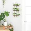 imageMkono Plant Propagation Tubes 3 Tiered Wall Hanging Terrarium with Wooden Stand Flower Vase Test Tube Glass Planter Stations for Hydroponic Cutting Home Garden Office Decor Brown SmallBrown