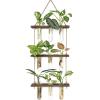 imageMkono Plant Propagation Tubes 3 Tiered Wall Hanging Terrarium with Wooden Stand Flower Vase Test Tube Glass Planter Stations for Hydroponic Cutting Home Garden Office Decor Brown SmallBrown