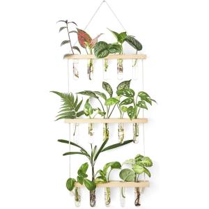 imageMkono Plant Propagation Tubes 3 Tiered Wall Hanging Terrarium with Wooden Stand Flower Vase Test Tube Glass Planter Stations for Hydroponic Cutting Home Garden Office Decor Brown SmallBeige