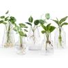 imageMkono Propagation Vases for Plants Set of 5 Small Glass Jar Planters for Hydroponic Cutting Flowers Plant Station Bud Vases for Centerpieces Home Office Decor Gift ColorfulClear