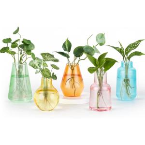 imageMkono Propagation Vases for Plants Set of 5 Small Glass Jar Planters for Hydroponic Cutting Flowers Plant Station Bud Vases for Centerpieces Home Office Decor Gift ColorfulColorful