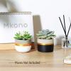 imageMkono 3 Inch Mini Succulent Pots Concrete Planter Set Modern Tiny Container for Indoor Plants Christmas Home Office Decor Gifts for Plant Lovers Plant NOT Included