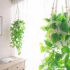 imageMkono Fake Hanging Plant with Pot Artificial Plants for Home Decor Indoor Macrame Plant Hanger with Fake Vines Faux Hanging Planter Greenery for Bedroom Bathroom Kitchen Office Decor 1 BlackIvory