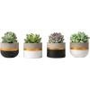 imageMkono 3 Inch Mini Succulent Pots Concrete Planter Set Modern Tiny Container for Indoor Plants Christmas Home Office Decor Gifts for Plant Lovers Plant NOT Included