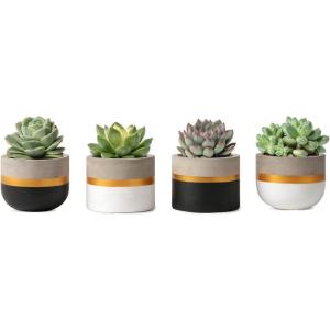 imageMkono 3 Inch Mini Succulent Pots Concrete Planter Set Modern Tiny Container for Indoor Plants Christmas Home Office Decor Gifts for Plant Lovers Plant NOT Included