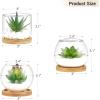 imageMkono Artificial Succulent in Clear Glass Pot 3 Mini Potted Fake Plants for Women Office Decor Small Faux Green Plant with BambooTray for Bookshelf Bathroom Kitchen Tabletop Centerpiece